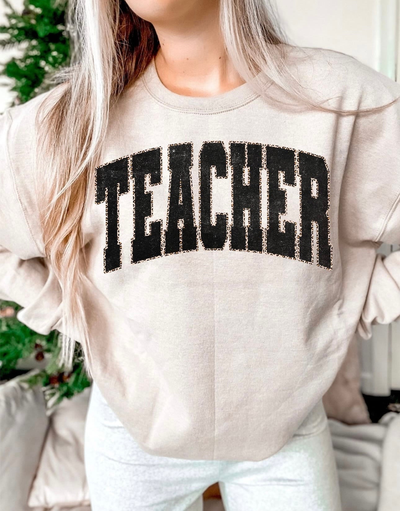 Teacher Cheetah
